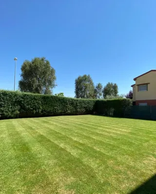 JARDINERO ECONÓMICO