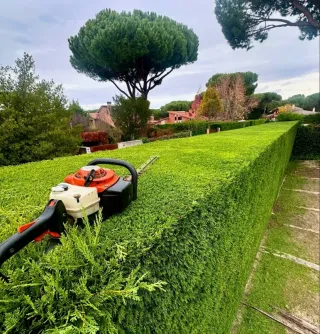 JARDINERO ECONÓMICO