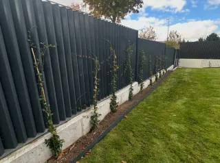 JARDINERO ECONÓMICO