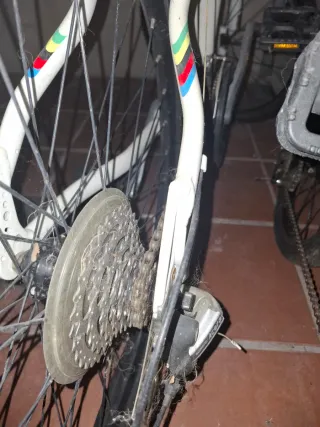 Bicicleta Orbea Blanca Adulto