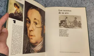 Libro sobre Goya (Ed. Marín)