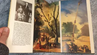 Libro sobre Goya (Ed. Marín)