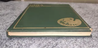 Libro sobre Goya (Ed. Marín)