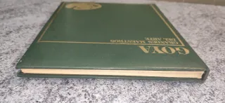 Libro sobre Goya (Ed. Marín)