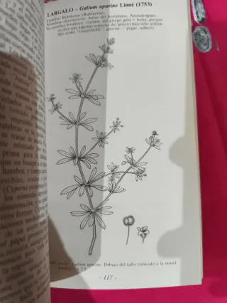 Malas Hierbas de Almería. G. Kunkel