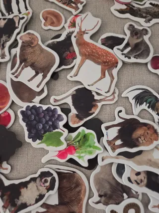 Juego Imanes Animales y Frutas