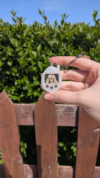Tamagotchi Hannah Montana