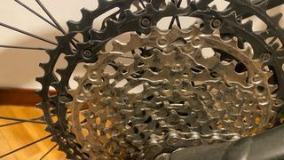 Orbea Oiz TR 120