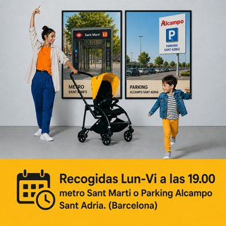 Espuma Bugaboo Bee 5