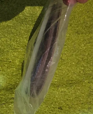 Lijadora de yeso,22,86cm