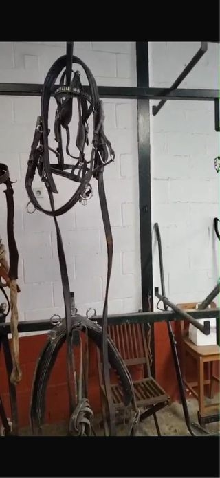 Arreos de limonera completos