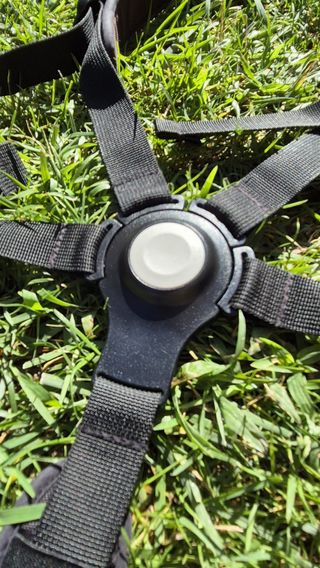 Arnés Bugaboo Bee 5/6