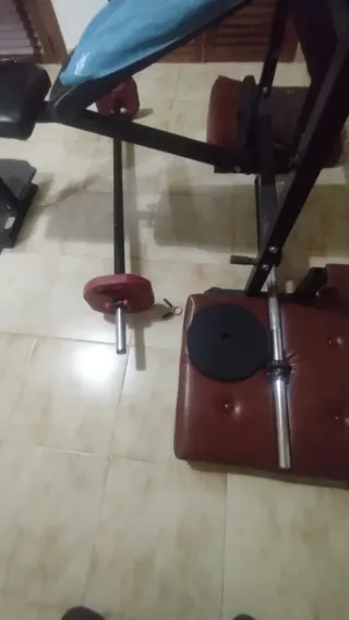 Discos de pesas variados