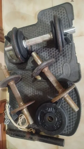 Discos de pesas variados