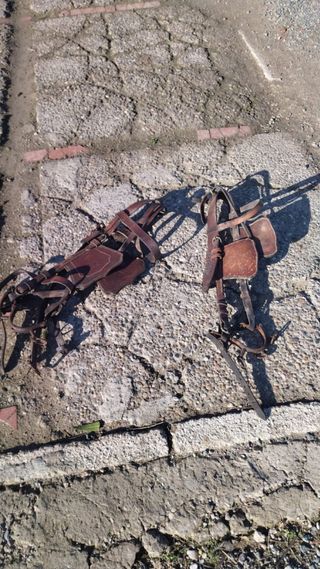 Cabezales para mulos de cuero