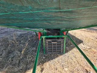 Paraguas recolector manual para olivos, almendros.