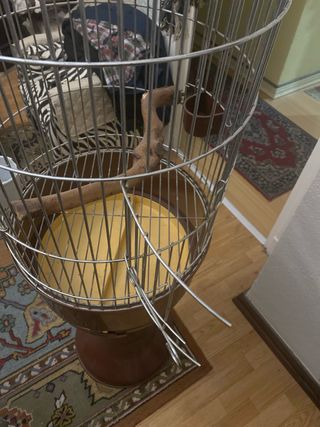 Jaula grande para loro