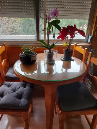 Mesa y 4 sillas de madera con cojines