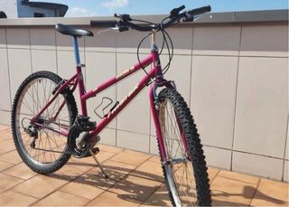 Bicicleta Montaña Niños/as 12 Años Aprox.