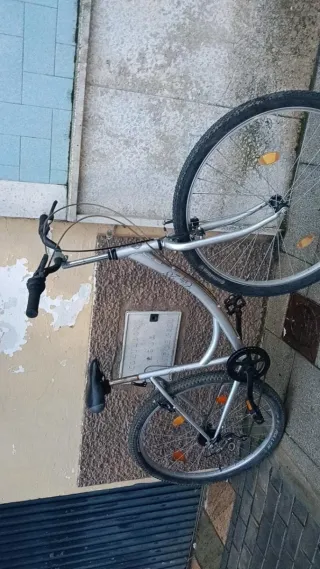 Bicicleta 29 Plata