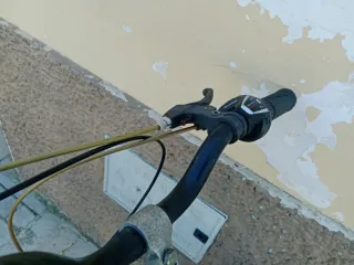 Bicicleta 29 Plata