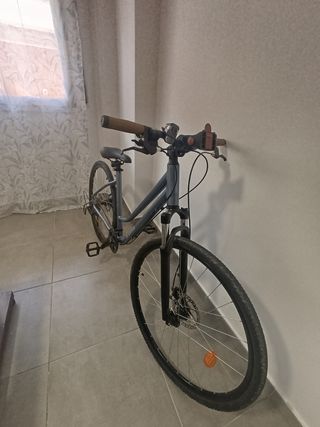 Bicicleta Riverside Gris