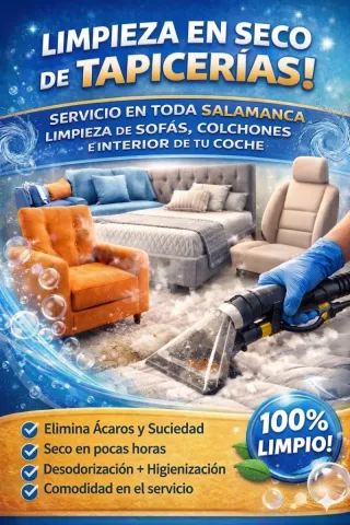 higienización profesional de tapicerías.