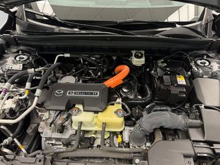 Mazda MX-30 0.8 EREV E-SKYACT MAKOT PREM MODERN AUTO 170CV 5P