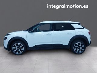 Citroën C4 Cactus BlueHDi 100 S&S Shine