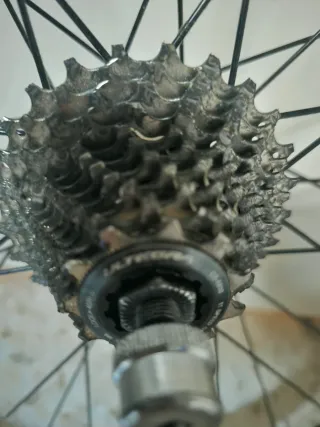 Rueda trasera Gurpil con cubierta Continental