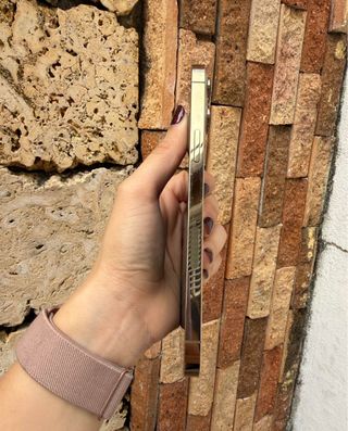 iPhone 13 Pro Max Oro