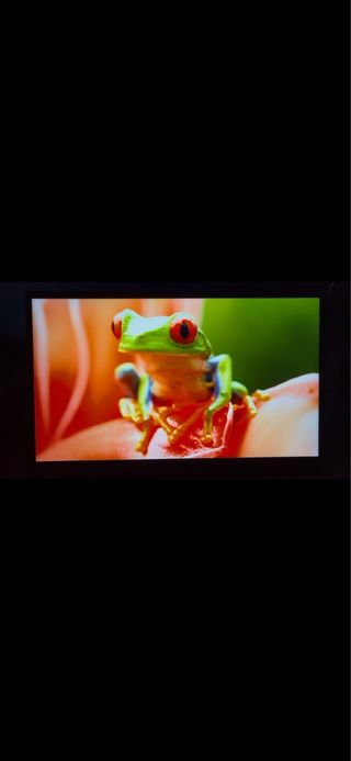 Veout Monitor Portatile 15,6 pollici FULL HD