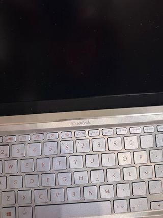Asus ZenBook 13 UM431D Plata