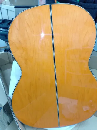 Guitarra Flamenca Autoamplificada
