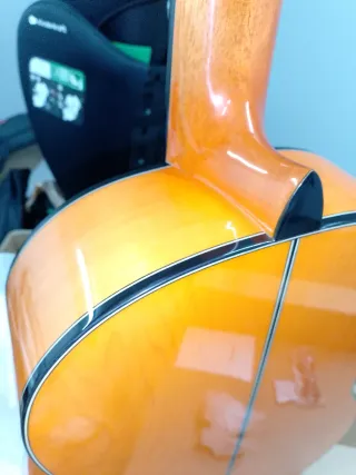 Guitarra Flamenca Autoamplificada