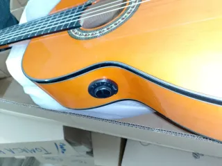 Guitarra Flamenca Autoamplificada