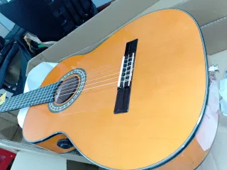 Guitarra Flamenca Autoamplificada