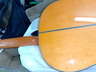 Guitarra Flamenca Autoamplificada
