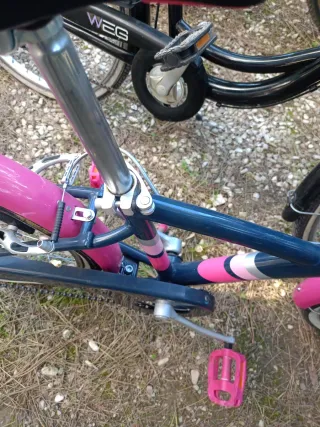 Bicicletta da ragazza blu e rosa (N.2)
