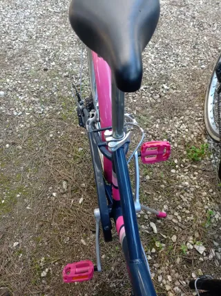 Bicicletta da ragazza blu e rosa (N.2)