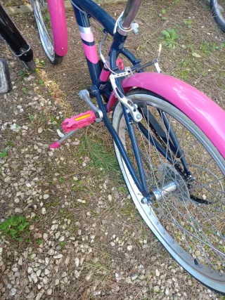 Bicicletta da ragazza blu e rosa (N.2)