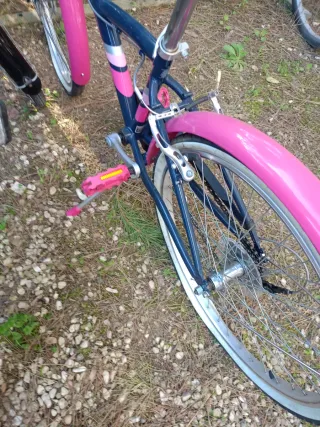 Bicicletta da ragazza blu e rosa (N.2)