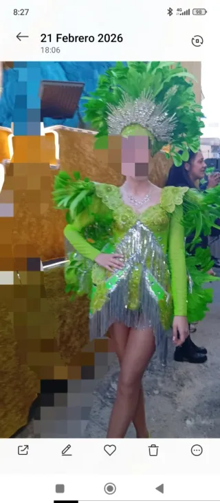 Traje de Carnaval Verde y Plateado