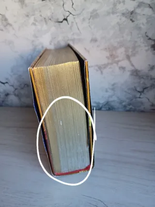 El gran libro del Reino de la Fantasía: ¡Descub...