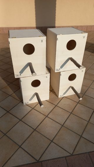 Nido in legno per cocorite, con posatoio.