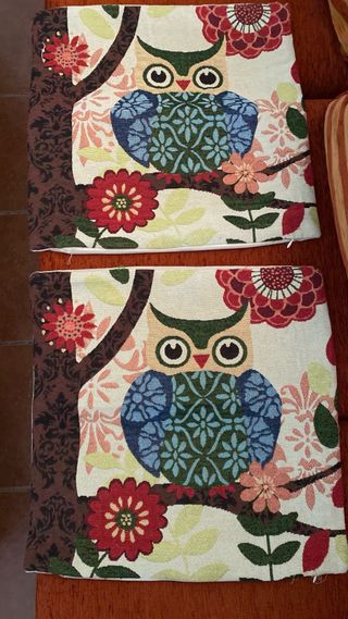 2 Cojines Decorativos de Buhos