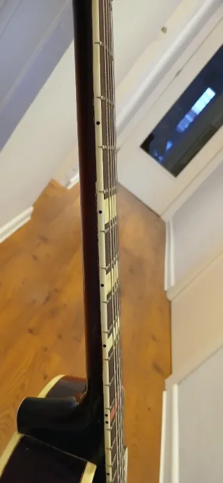 Guitarra Arnold Hoyer Archtop