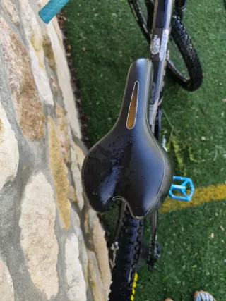 Bicicleta Trek Remedy 7