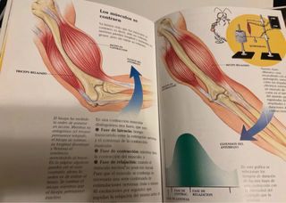 Colección Érase una vez El cuerpo humano 30 libros