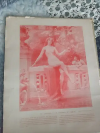 Dos libros antiguos Le Panorama Salón nu